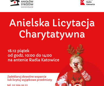 Aniołowa Aukcja Charytatywna