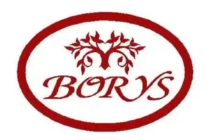 https://anioly24.pl/wp-content/uploads/2025/08/Borys.webp