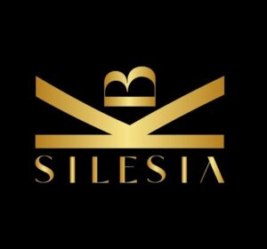 https://anioly24.pl/wp-content/uploads/2025/08/kbsilesia-e1756319244948.jpg