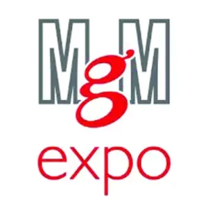 https://anioly24.pl/wp-content/uploads/2025/08/mgm.webp