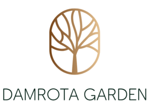 https://anioly24.pl/wp-content/uploads/2025/10/damrota.png